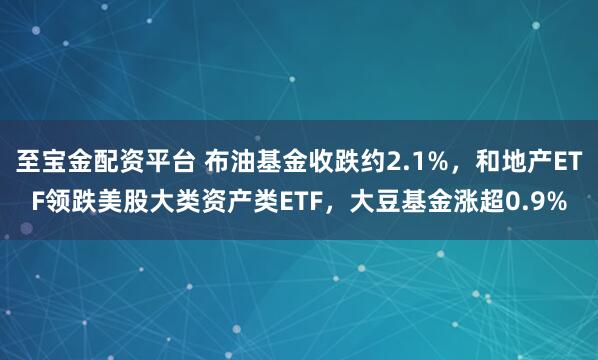 至宝金配资平台 布油基金收跌约2.1%，和地产ETF领跌美股大类资产类ETF，大豆基金涨超0.9%