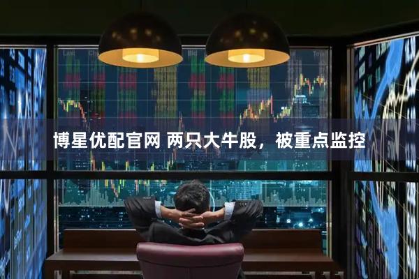 博星优配官网 两只大牛股，被重点监控