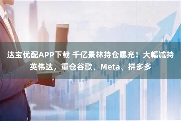 达宝优配APP下载 千亿景林持仓曝光！大幅减持英伟达，重仓谷歌、Meta、拼多多