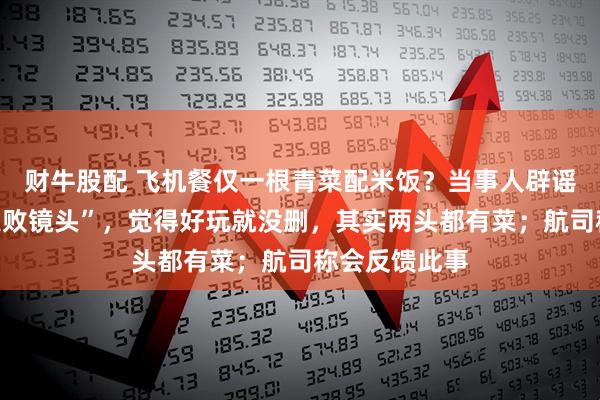 财牛股配 飞机餐仅一根青菜配米饭？当事人辟谣：是一段“失败镜头”，觉得好玩就没删，其实两头都有菜；航司称会反馈此事